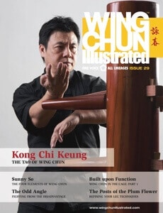 Wing Chun Illustrated Issue #29 Cover